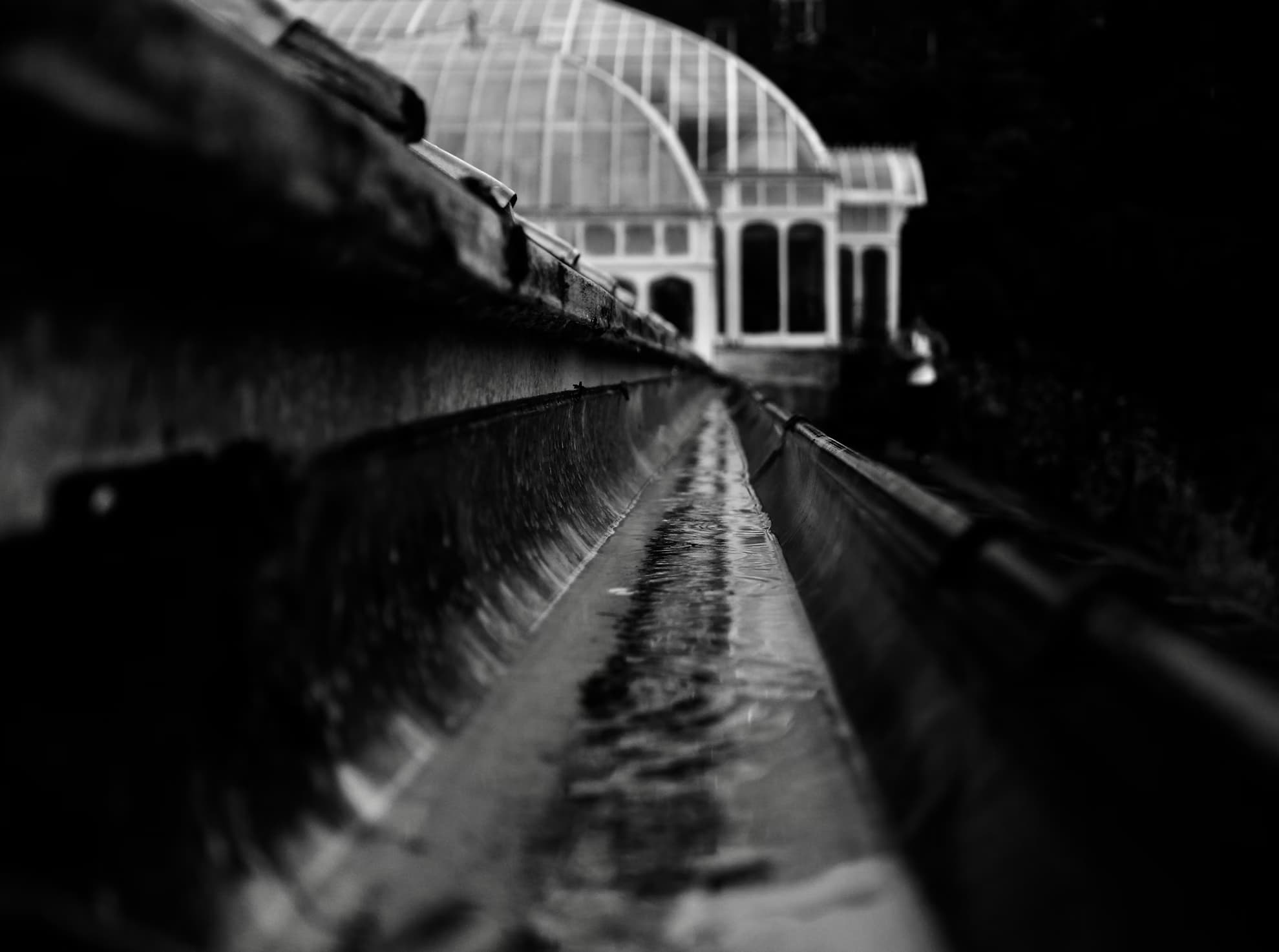 Professional Gutter Cleaning: Protect Your Home from Water Damage