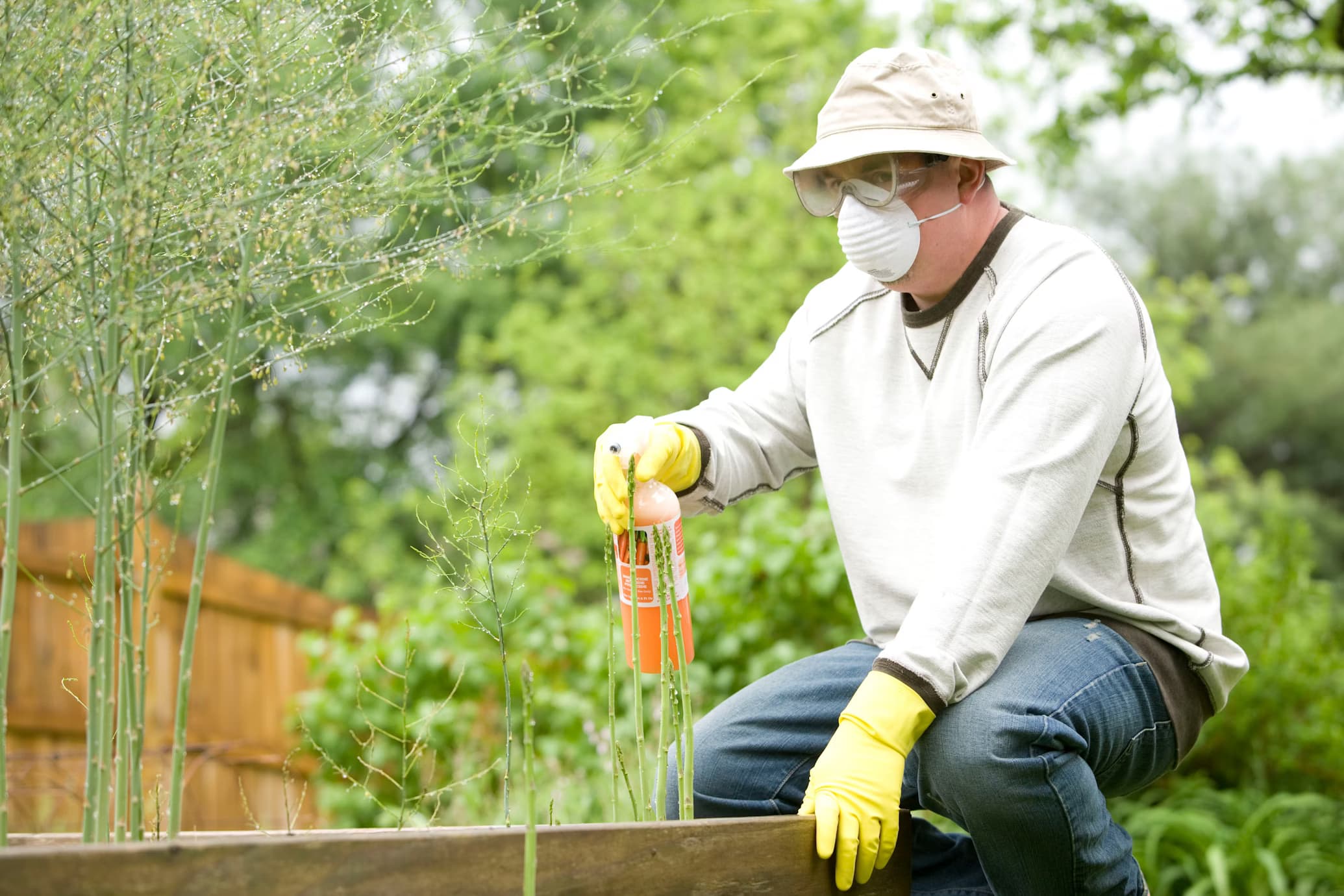 Effective Pest Control Solutions for Your Home
