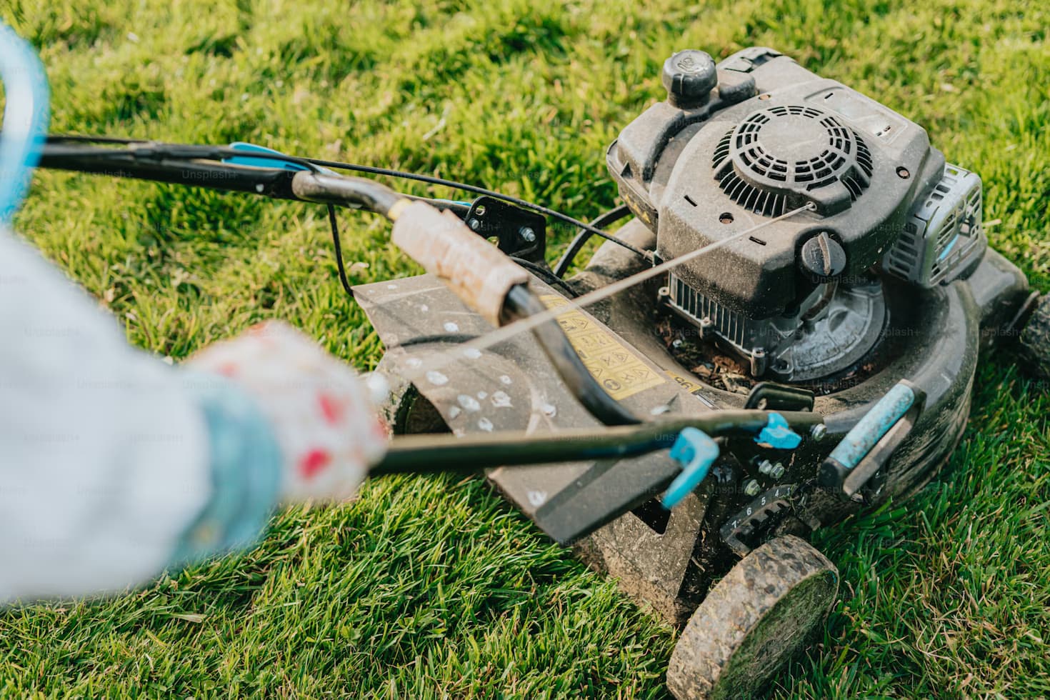 Professional Lawn Care: Year-Round Maintenance for a Perfect Yard