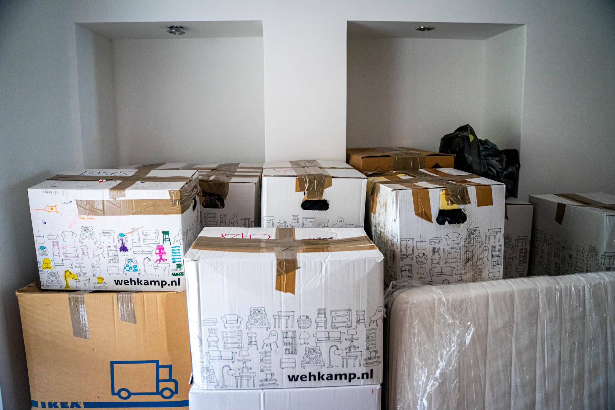 Professional Moving & Packing Services: Stress-Free Relocation